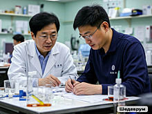 Разработан клей для костей