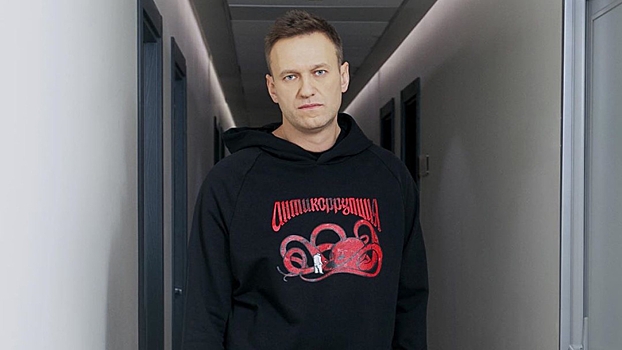 Юрист Аграновский напомнил об ответственности за установку приложения Навального