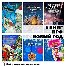 Сотрудники библиотеки №119 сделали подборку зимних книг