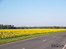 На Алтае открылась X зимняя зерновая конференция