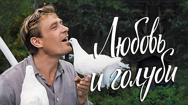 Пальто, галстук и платок: в комедии «Любовь и голуби» нашли забавные киноляпы