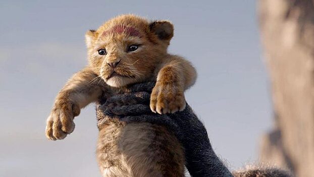 Львы, воришки и шведские ужасы — что нового в кино