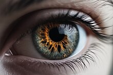 Российские ученые усовершенствовали метод лечения катаракты и глаукомы