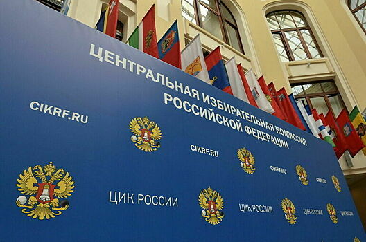 В ЦИК заявили о превращении миссии ОБСЕ в инструмент политического заказа