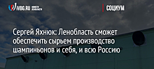 Сергей Яхнюк: Ленобласть сможет обеспечить сырьем производство шампиньонов и себя, и всю Россию