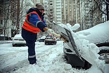 В Петербурге отказались от дворников-любителей