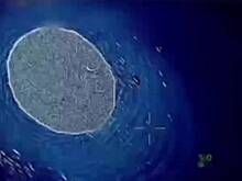 В Польше оценили российский боевой лазер