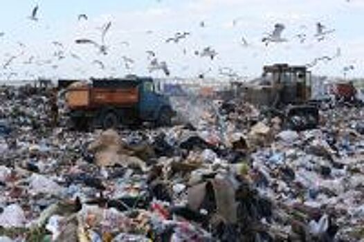 Активисты пробрались на свалку Челябинска и зафиксировали очаги возгорания