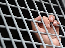 Пытавшегося задавить дорожников рецидивиста посадили на восемь лет