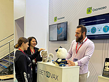 Препарат от аллергии на кошек представили на Конгрессе молодых ученых