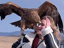 Орел чуть не лишил россиянку глаза во время фотосессии