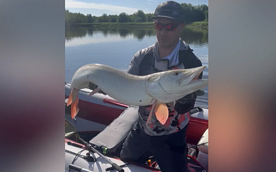 Редкую щуку-альбиноса поймал рыбак на Камчатке