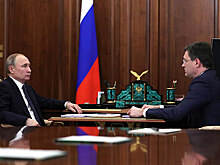 Новак предоставил Путину отчет по работе Минэнерго