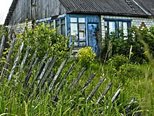 Дачникам придется быстрее осваивать свои участки