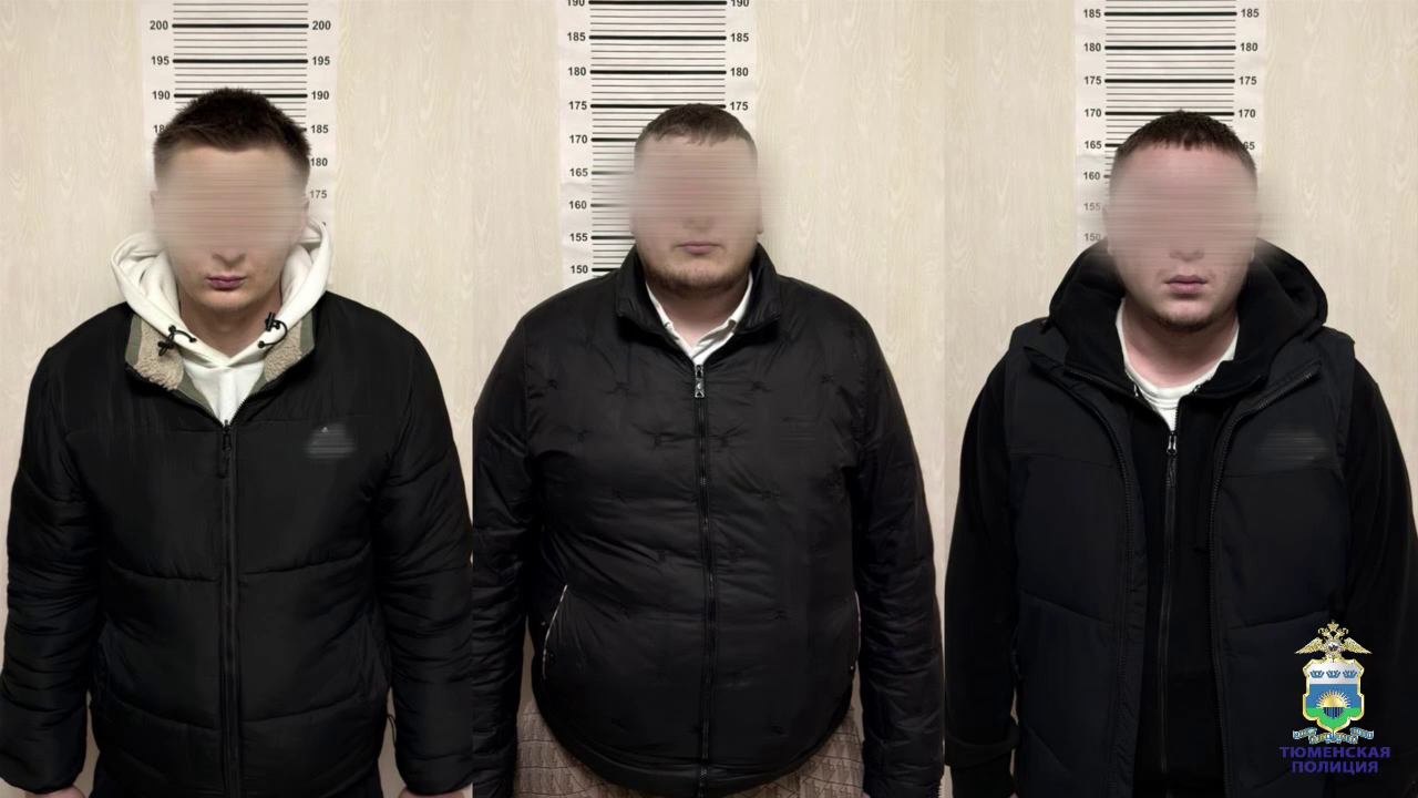 Полицией задержаны трое подельников за незаконное использование персональных данных граждан в Тюмени