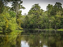 Добычу полезных ископаемых на болотах хотят упростить