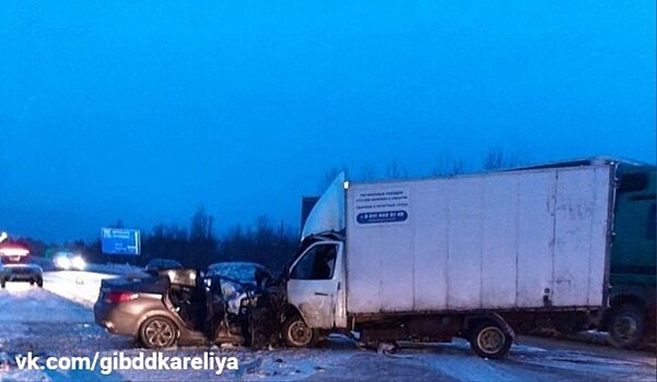 39-летний водитель погиб после столкновения с фургоном в Прионежском районе