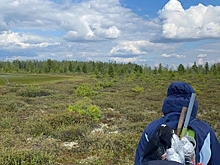 На Ямале учёные изучают хасырей и лес на мёрзлых болотах