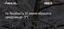 На Ленобласть 18 апреля обрушатся заморозки до -9°С