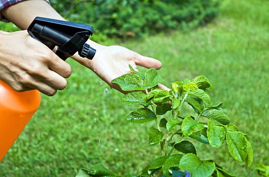 Минсельхоз установит обязательные требования безопасности при обращении с пестицидами