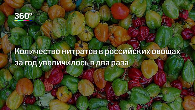 Рост цен на овощи в России объяснили засухой в Европе
