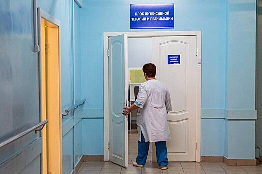 Российскую школьницу ввели в кому после нападения стаи собак