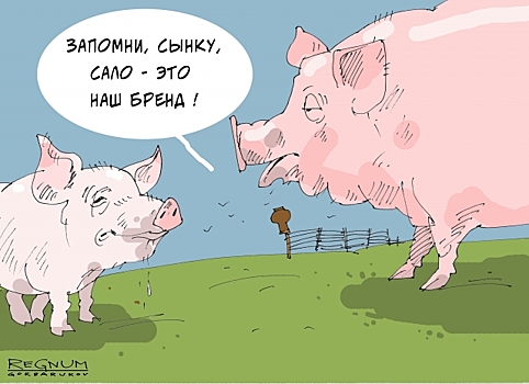 «Свиную кормушку закрыли» — набсовет «Нафтогаза Украины» подал в отставку