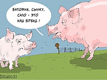 «Свиную кормушку закрыли» — набсовет «Нафтогаза Украины» подал в отставку