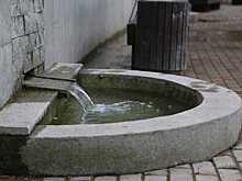 В воронежском Центральном парке оздоровили водоём за 2,56 млн. рублей