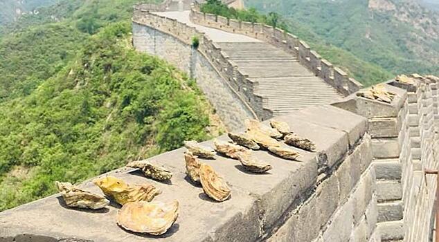 Международный чемпионат по открыванию устриц стартовал в Китае