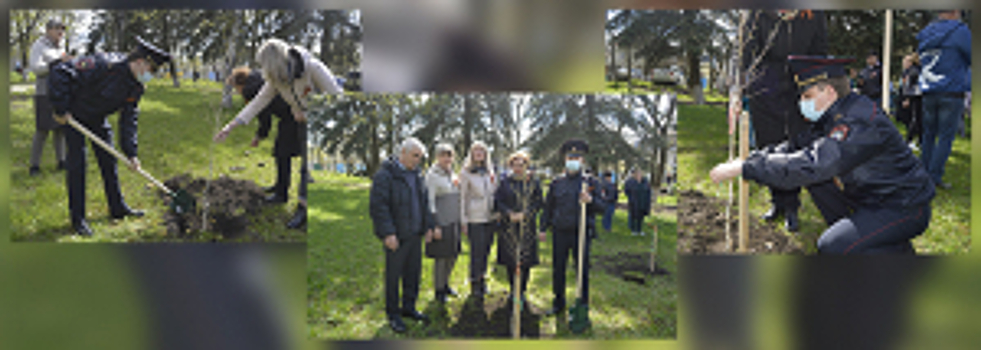 На Ставрополье полицейские присоединились к международной патриотической акции «Сад Памяти»