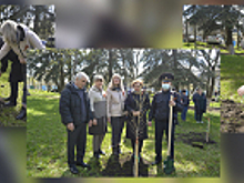 На Ставрополье полицейские присоединились к международной патриотической акции «Сад Памяти»
