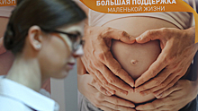 В Госдуме рассказали о новом способе повышения рождаемости в стране