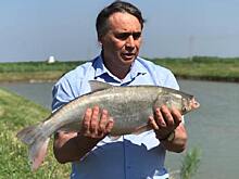 Зарыбление крымских водохранилищ проводится молодью промысловых видов