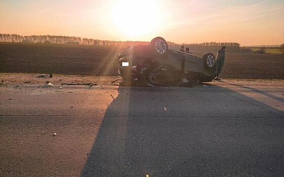 В ДТП с фурой в Скопинском районе погибла женщина