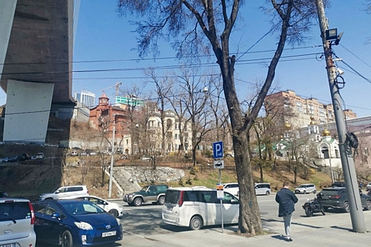 Штрафы вырастут вдвое: в Приморье предлагают жестче наказывать за «безномерные» авто и парковку на газонах
