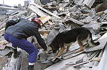 Из района землетрясения в Китае было эвакуировано свыше 30 тыс. туристов