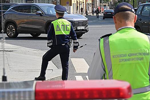 В России предложили новые санкции против водителей машин с иностранными номерами