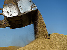 Идем на рекорд: Россия примеряет статус мировой аграрной державы