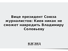 Вице-президент Союза журналистов: Киев никак не сможет навредить Владимиру Соловьеву