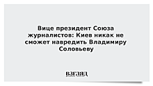 Вице-президент Союза журналистов: Киев никак не сможет навредить Владимиру Соловьеву