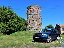 Яркое путешествие с Skoda Kodiaq: Верный друг