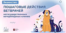 Комитет ветеринарии Москвы проведет обучающий курс, как распознать бешенство для специалистов частных ветклиник