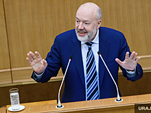 Закон, угрожающий «тюменской матрешке», принят ГД в первом чтении