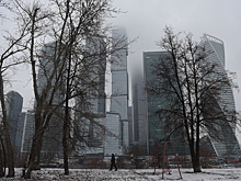 «Желтый» уровень опасности объявили в Московском регионе на 10 декабря из‑за тумана