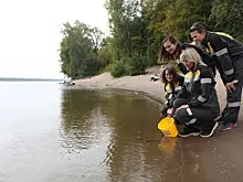 Непроизводственный план: на предприятиях Самарской области развивают добровольческое движение