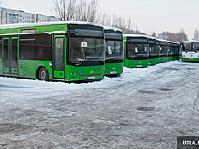 Тюменские подростки массово закидывают автобусы снегом и камнями