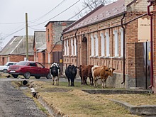 До конца 2021 года в селах Северной Осетии по госпрограмме построят 22 дома