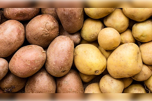 В России озвучили одну из причин нехватки картофеля