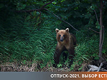 Космонавт за один день встретил двадцать восемь медведей